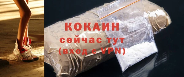 ПСИЛОЦИБИНОВЫЕ ГРИБЫ Богданович