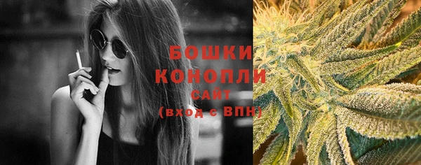 хмурый Богородск