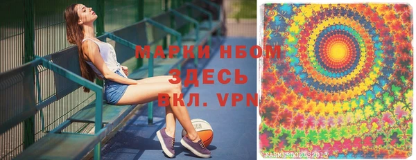 ПСИЛОЦИБИНОВЫЕ ГРИБЫ Богданович