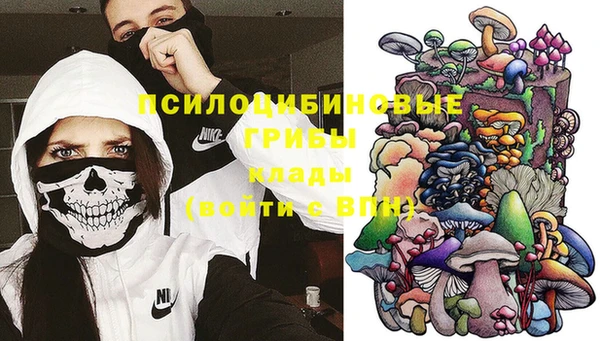 хмурый Богородск