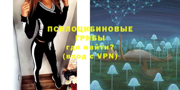 ПСИЛОЦИБИНОВЫЕ ГРИБЫ Богданович